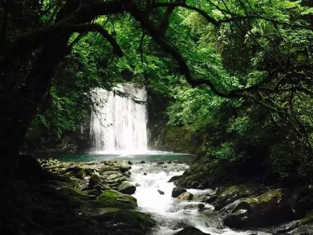 喜剧电影《银河写手》定档，“三狗”组合搞笑化身乙方嘴替